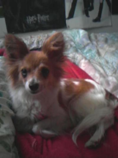 Bella