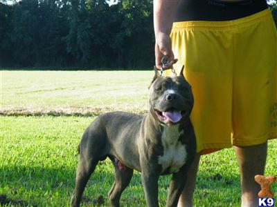 Ares