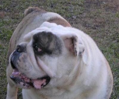 Tyson