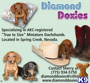diamonddoxies