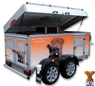 Felsiger Berg Dog Trailers 
