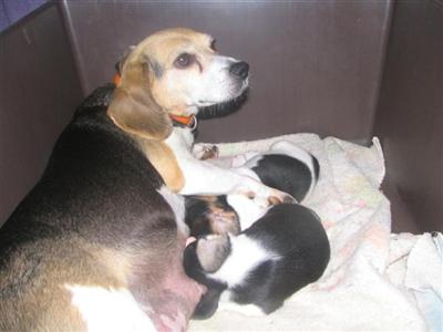 Sweet Little Ladies....