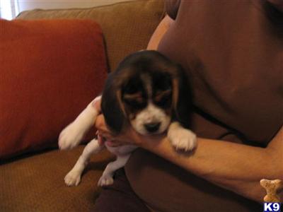 Young Curious nosey Lady seeks home....