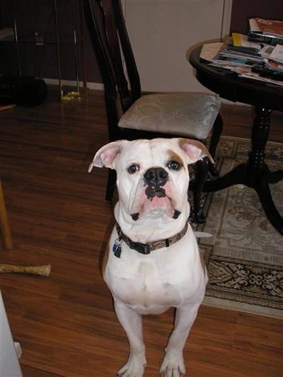 Deacon