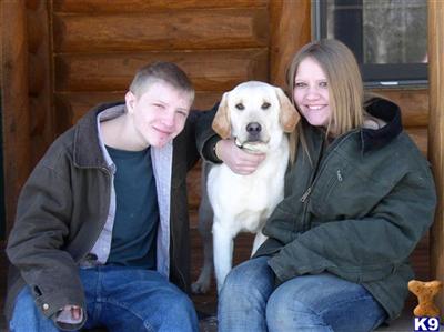 Family Companion Labs