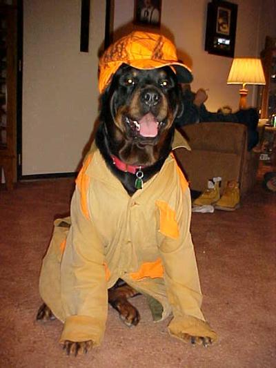 K9Stud