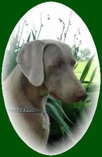 Macy Joscelynn Litter