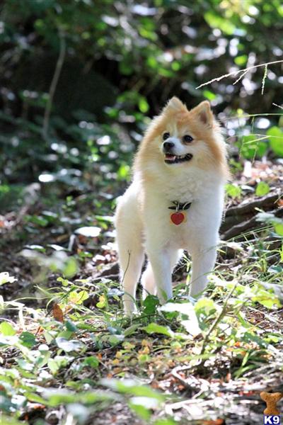 Oshii- his nickname is Squishy