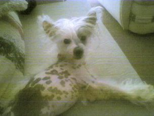 linquire@yahoo.com 