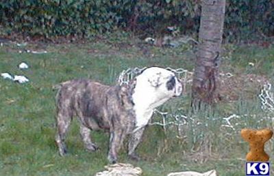 retired female
