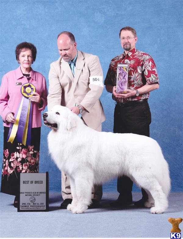 GCh Berens Hope of Thorn Hill HOF
