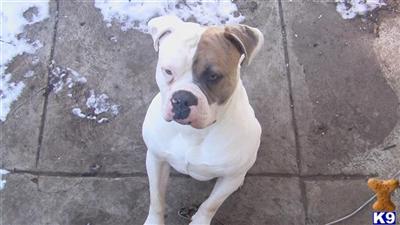 Zeus
