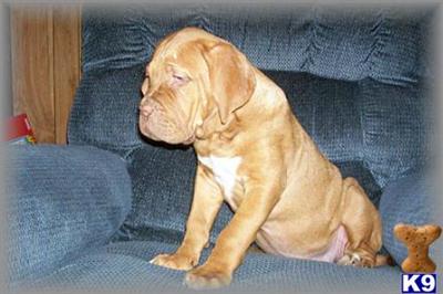 Tubby Male