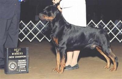 VomStreitweinRottweilers.com