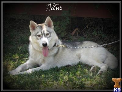 Titus