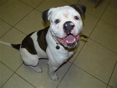 Tyson