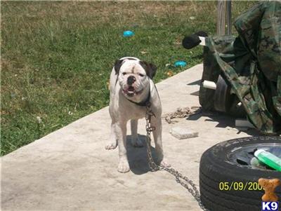 Tyson