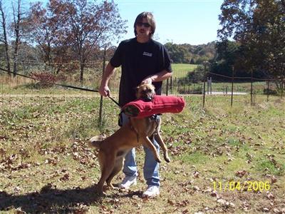 AKC in GA/SC