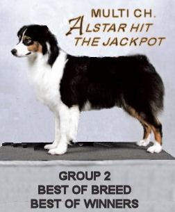 Alstar Hit The Jackpot