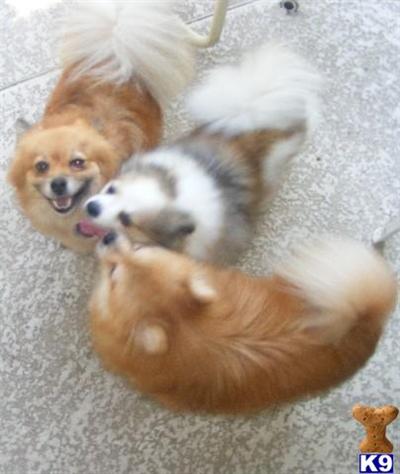 Adorable Babies
