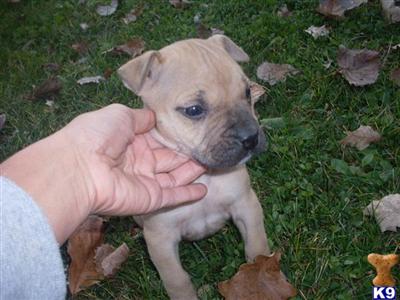 Just born put down you deposit now