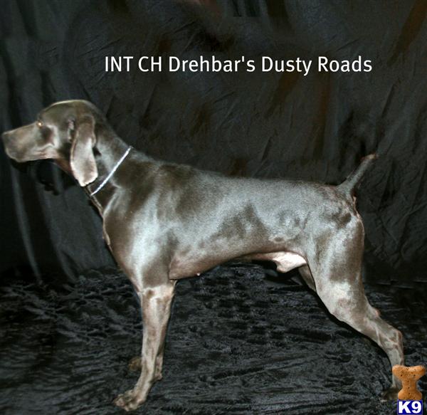 IntCH Drehbars Dusty Roads