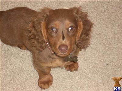 Oliver