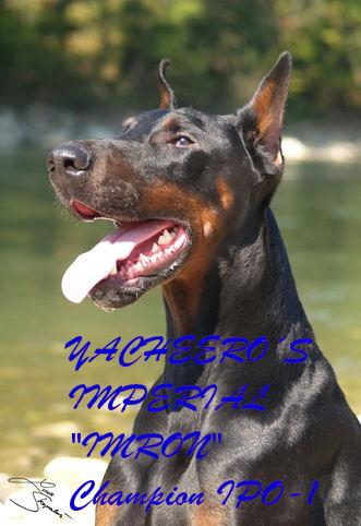 YACHEERO´S IMPERIAL IMRON