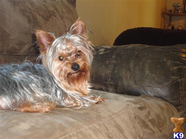 Maxwell Marlo
