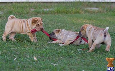 ADORABLE BABIES