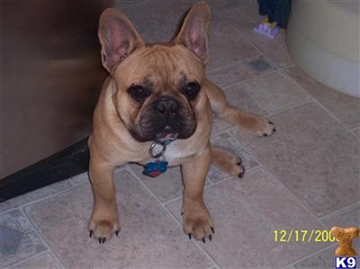 Jack