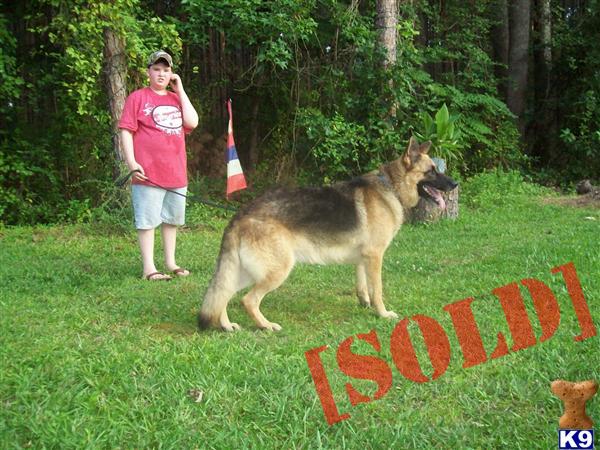 JADA AND BUDDY LITTER ACCEPTING 200.00 DEPOSIT