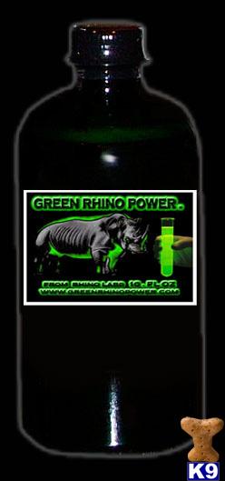 Green Rhino Power