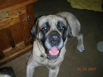 Shiloh