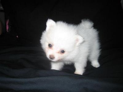 sold 8-29-07