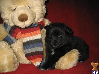 SOLD 12-6-08