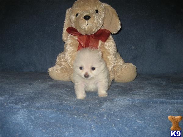  Sold 7/29/2010