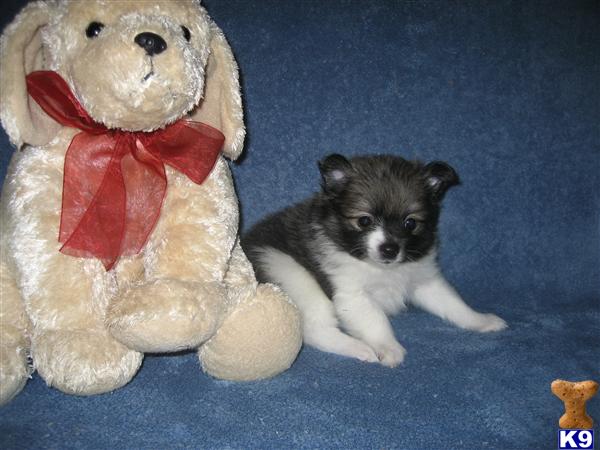 Sold 8/15/2010