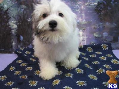 FULL OF SPUNK ~~ MORT ~~