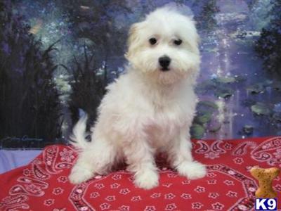 PLAYFUL LITTLE GIRL ~~ NANCY ~~