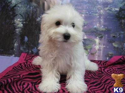 BEAUTIFUL LIL GIRL ~~ DIFFY ~~