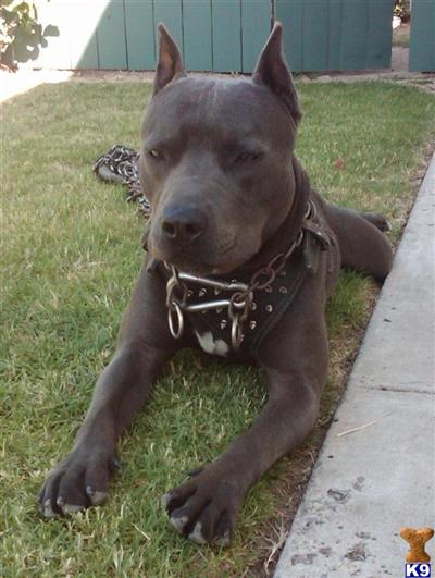 Kilo