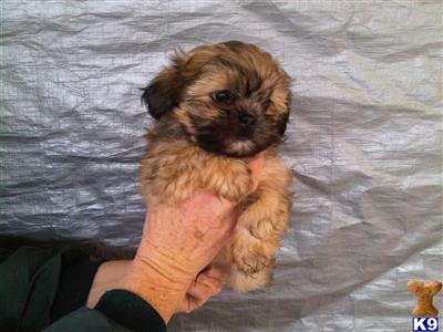 Adorable lil guy