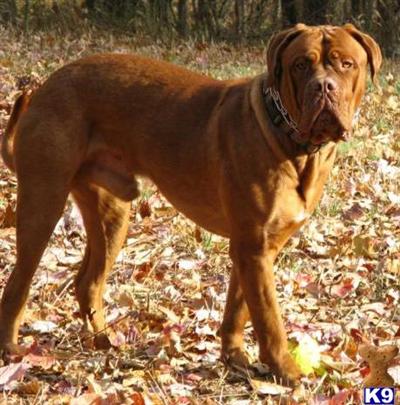 TUCKER