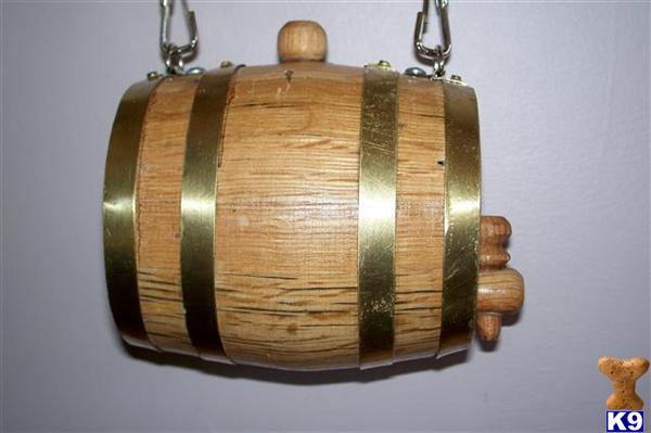 Saint Bernard Keg Collars