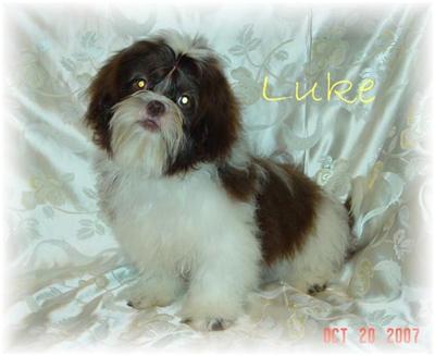 Luke