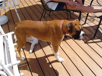 Captain Pudge Maxwell