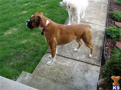Captain Pudge Maxwell