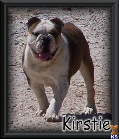 Kirstie