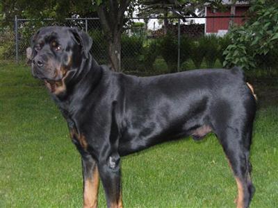 millers major von barclay